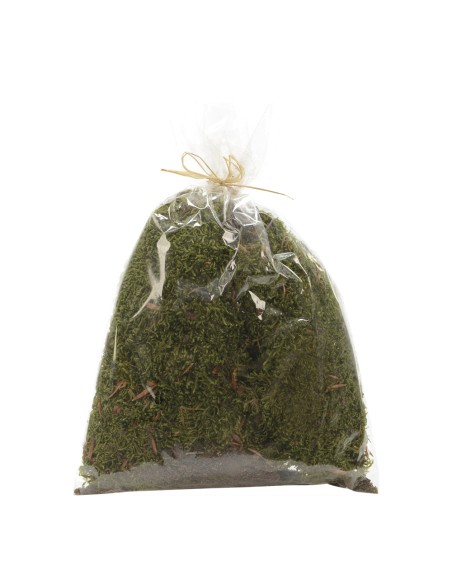 Musgo en bolsa 80g 15x20cm