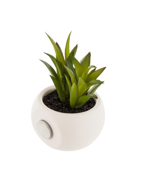 Mini plantas decorativas con iman modelos surtidos 6cm
