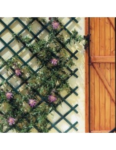 CELOSIA JARD 1 2MT E TEN NORTENE PVC VER TRELLIFLE  170206