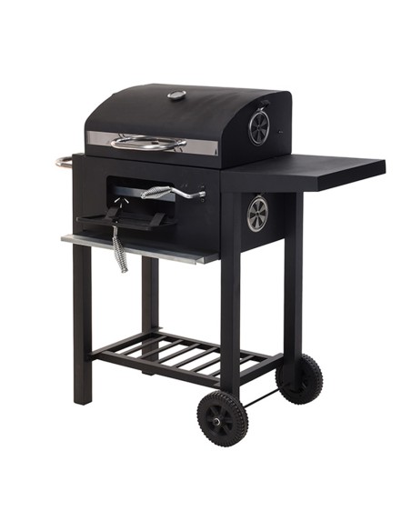 Barbacoa de carbon con tapa 48,5x36x96cm