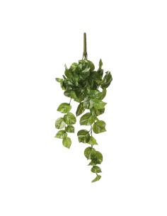 Potos colgante color verde 14x58x20cm