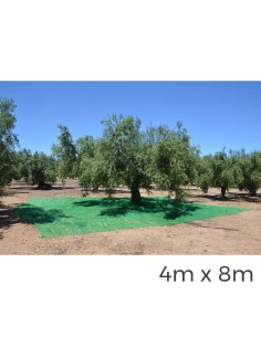 Manto para recolecta de frutos 4 x 8 m color verde