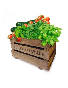 Caja huerto vintage eco