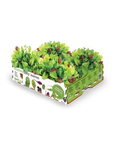 Caja de ensaladas baby leaves