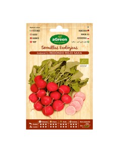 Sobre con semillas eco de rabanito redondo rojo agreen