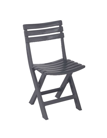 Silla plegable birki color antracita