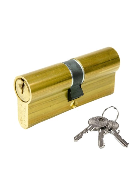 Cilindro logo std 30x40mm 08010.12.0 cisa