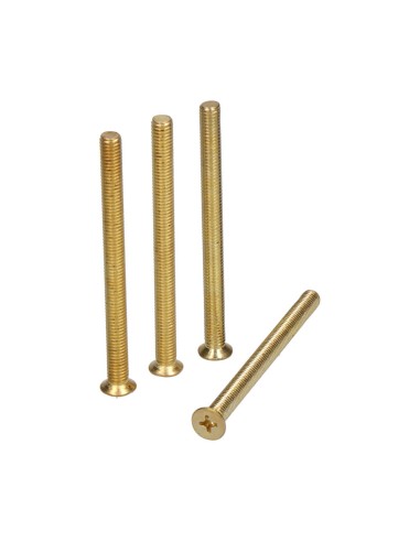 Tornillo cilindro trn16 m5 x 65 mm latonado