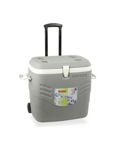 Nevera de camping con ruedas 41 l gris