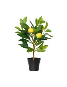 Planta artificial limonero 17 x 24 x 43 cm