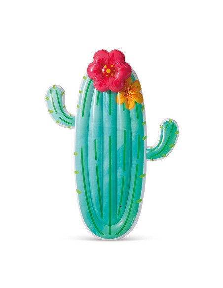 Hinchable cactus 185 x 140 cm