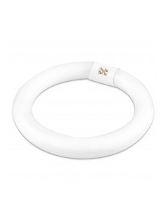 FLUORES.MATEL TRIFOS.T9 CIRCULAR 32W. FR