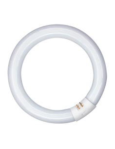 Tubo fluorescente circular 20w, g10q, luz fria ø210 mm