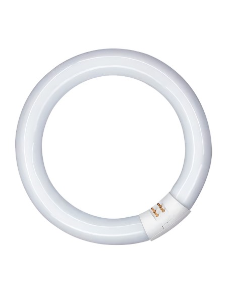Tubo fluorescente circular 20w, g10q, luz fria ø210 mm