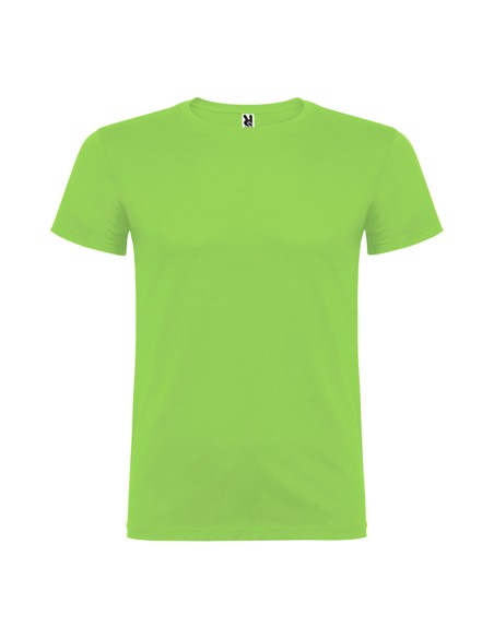 Camiseta beagle verde oasis t.l