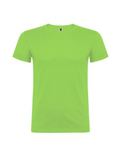 Camiseta beagle verde oasis t.xl