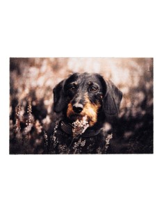 Felpudo de interior, deco print, 100% poliamida, 40 x 60cm, diseño perro