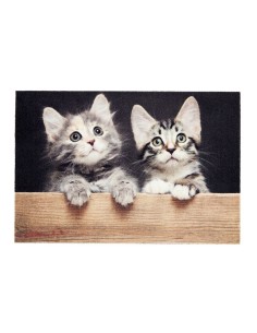 Felpudo de interior, deco print, 100% poliamida, 40 x 60cm, diseño gatos