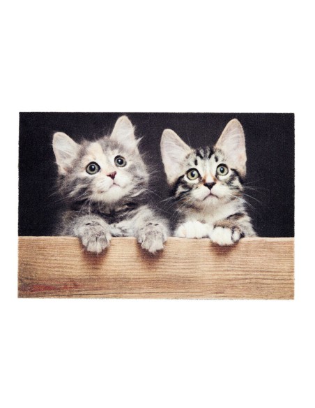 Felpudo de interior, deco print, 100% poliamida, 40 x 60cm, diseño gatos