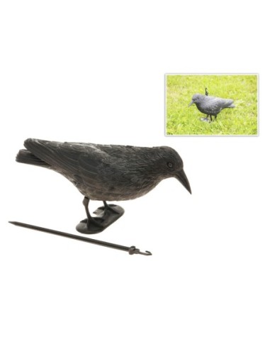 CUERVO ANTI PAJAROS