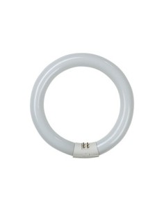 TUBO FLUORESCENTE CIRCULAR TRIFOSFORO 22W 6500K GARZA