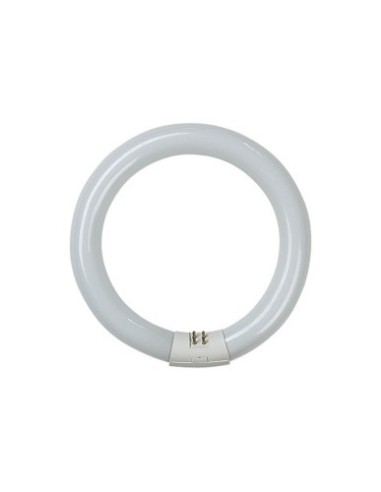 TUBO FLUORESCENTE CIRCULAR TRIFOSFORO 22W 6500K GARZA