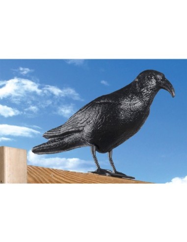 CUERVO PLASTICO ANTI PALOMAS
