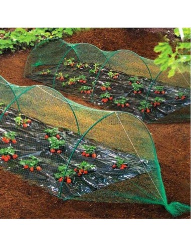 MALLA ANTIPAJARO VERDE 4  6MT