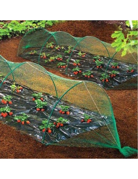 MALLA ANTIPAJARO VERDE 4  6MT