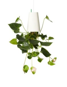 MACETERO COLGANTE BOCA ABAJO SKY PLANTER