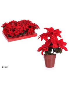 MACETA NAVIDAD POINSETTIA 24 CM JUINSA