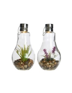 *ULT. UNIDADES* BOMBILLA SOLAR CON PLANTA