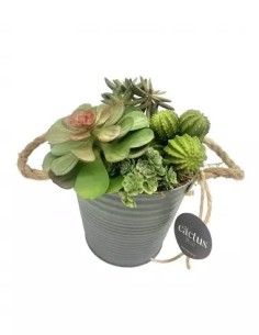 *ULT.UNIDADES*  PLANTA CACTUS EN MACETERO METALICO
