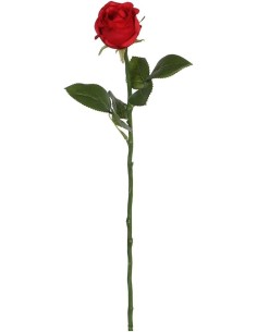 *ULT.UNIDADES*  ROSA ROJA 45CM