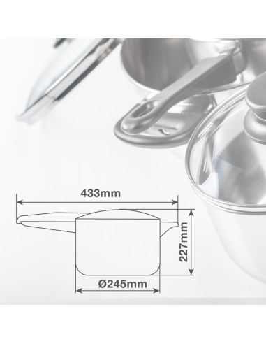 Olla express rápida 6L Ø220mm