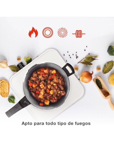 Olla express rápida 4L Ø220mm