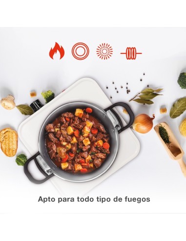 Olla express 4L Ø220mm