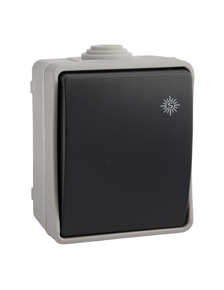 Interruptor estanco ip44 16 a 250 v