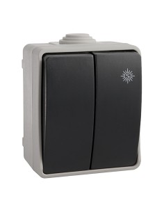 Doble conmutador estanco 10 ax 250v~. ip54