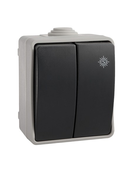 Doble conmutador estanco 10 ax 250v~. ip54
