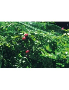 MALLA ANTI PAJARO 4 6MT NATUUR PL VER NT118600