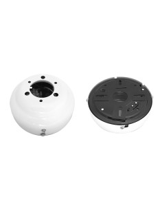 Floron para ref.33985