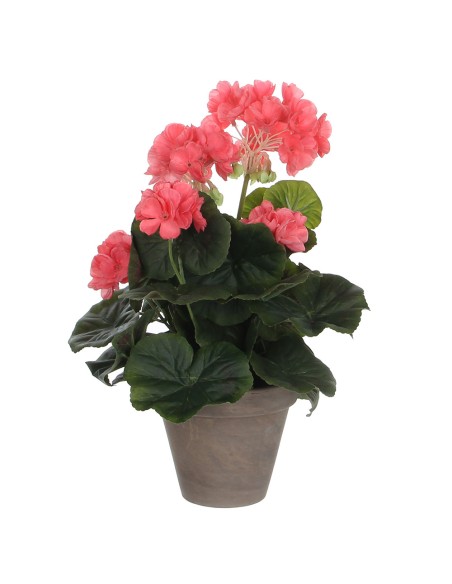 Geranio salmón pvc con maceta gris